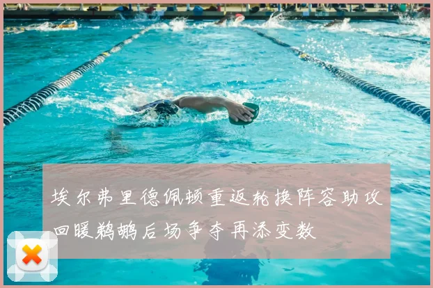 埃尔弗里德佩顿重返轮换阵容助攻回暖鹈鹕后场争夺再添变数